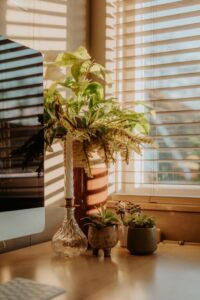 resized_87153